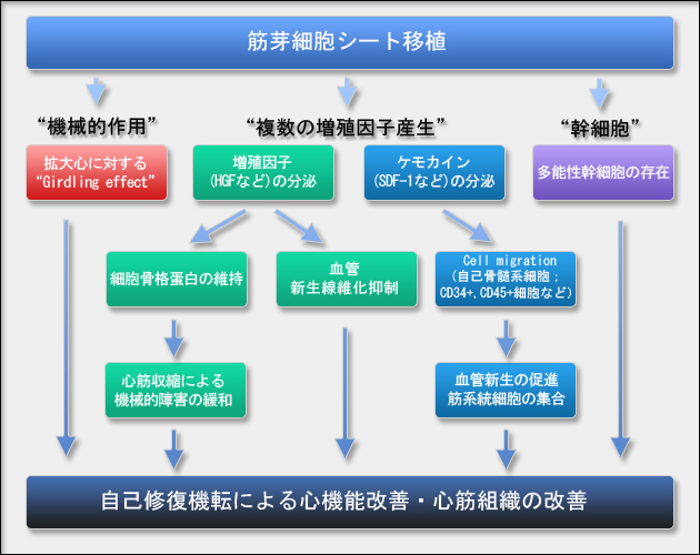 fig1