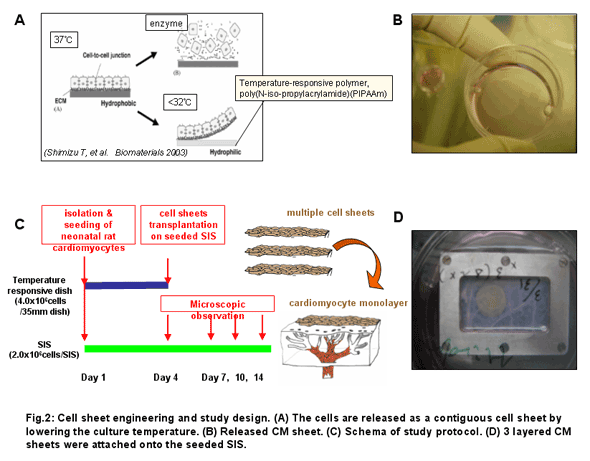 fig2
